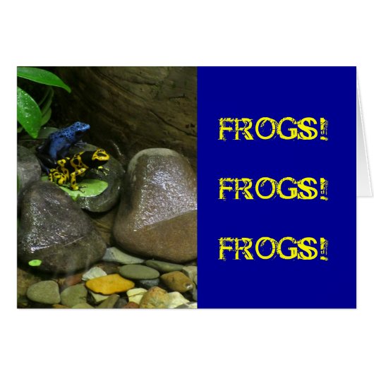 Dart Frog Buddies Cards (Front Horizontal)