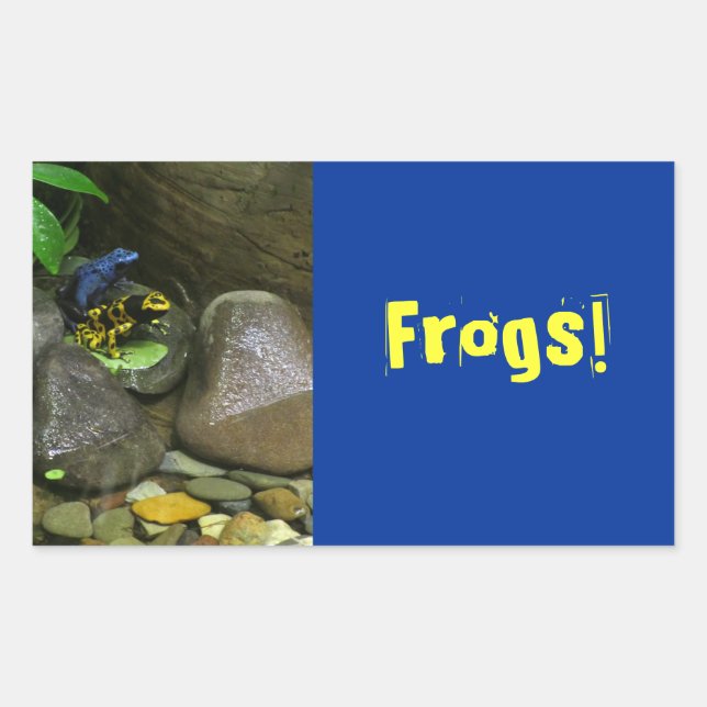 Dart Frog Buddies Rectangular Sticker (Front)