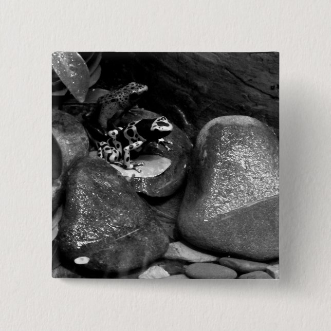 Dart Frog Friends B+W Pinback Button (Front)