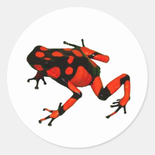 DART FROG STICKERS FROG STICKERS