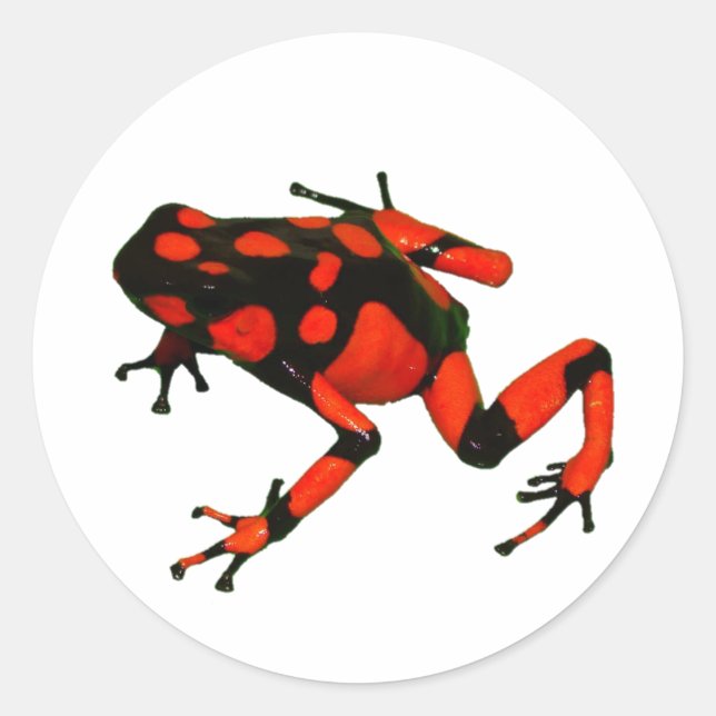 DART FROG STICKERS, FROG STICKERS (Front)