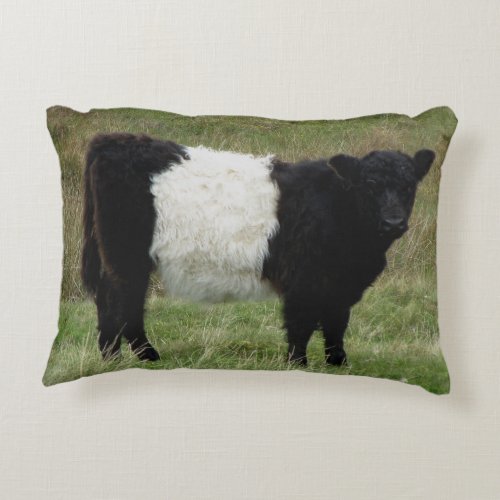 Dartmoor Belted Galloway Calf Accent Pillow