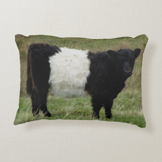 Dartmoor Belted Galloway Calf Accent Pillow (Back)