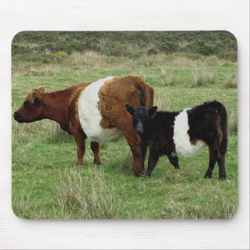 Dartmoor Belted Galloway Cow And Calf Mouse Pad