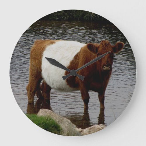 Dartmoor Belted Galloway Cow Standing River Large Clock