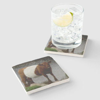 Dartmoor Belted Galloway Cow Standing River Stone Coaster