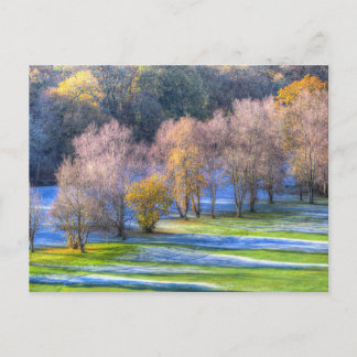 Dartmoor Morning Frost  Holiday Postcard