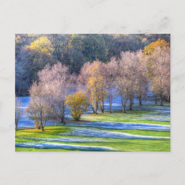 Dartmoor Morning Frost  Holiday Postcard (Front)