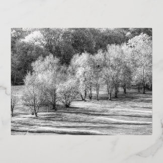 Dartmoor Morning Frost Monochrome Foil Holiday Postcard