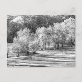 Dartmoor Morning Frost Monochrome Postcard