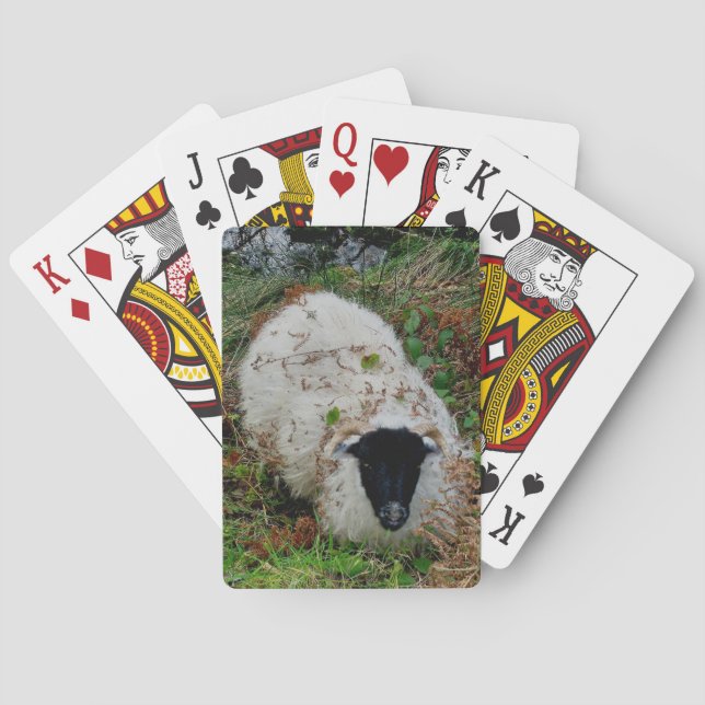 Dartmoor Sheep In Hiding Poker Cards (Back)