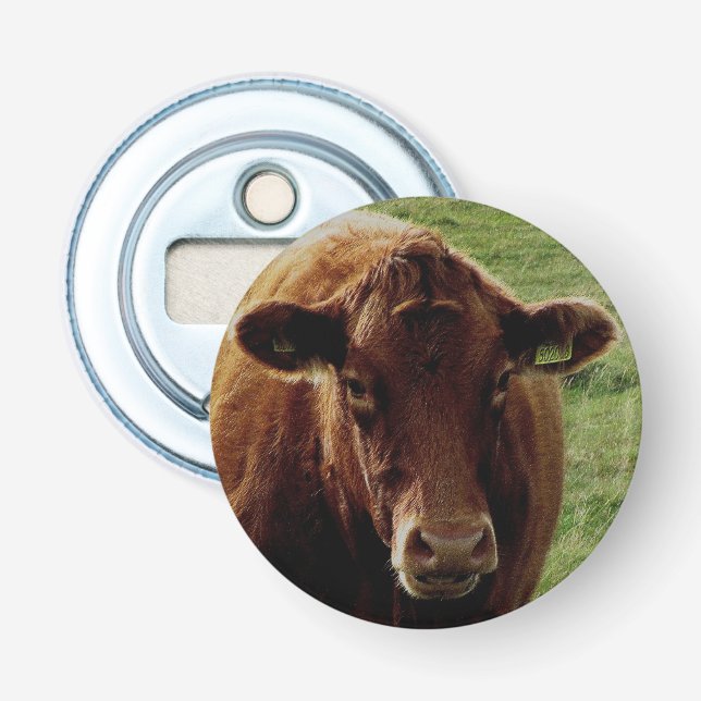 Dartmoor South Devon Cow Looking Bottle Opener (Front)