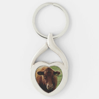 Dartmoor South Devon Cow Looking Keychain