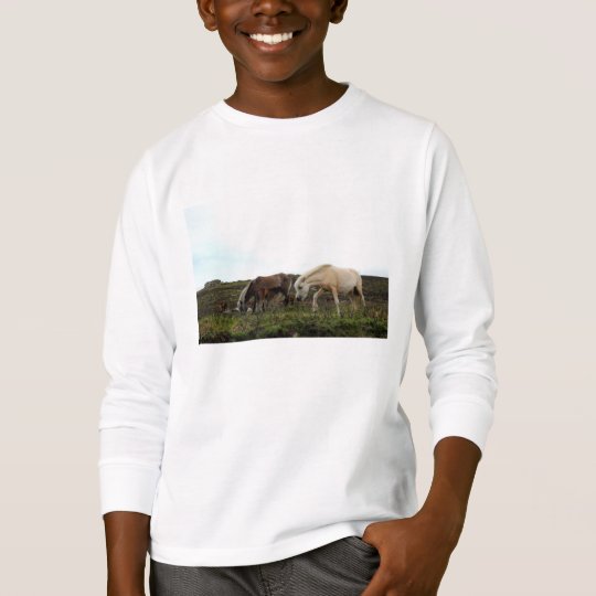 dartmoor t shirt