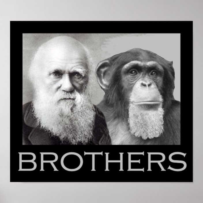 Darwin and Chimp Brothers Poster