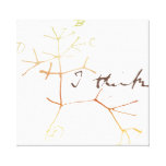 Darwin, I Think Tree Of Life Canvas Print at Zazzle