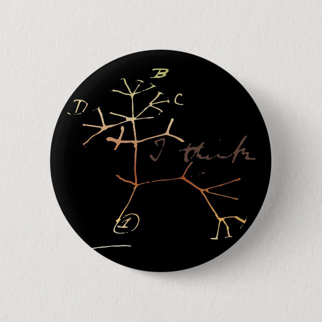 Darwin, I think tree of life Pinback Button (Front)
