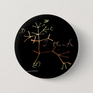 Darwin, I think tree of life Pinback Button