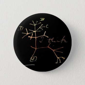 Darwin  I Think Tree Of Life Pinback Button by boblet at Zazzle