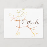 Darwin, I Think Tree Of Life Postcard at Zazzle