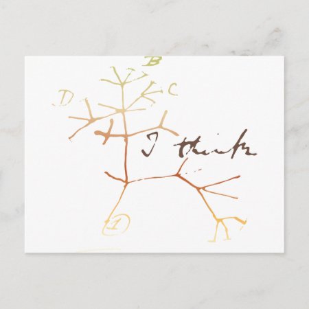 Darwin, I Think Tree Of Life Postcard