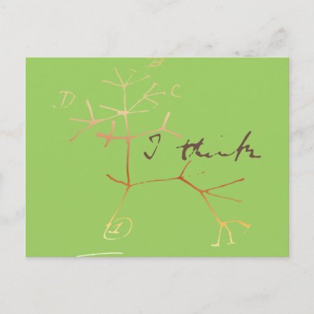 Darwin, I Think Tree Of Life Postcard