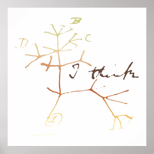 Darwin, I think tree of life Poster (Front)