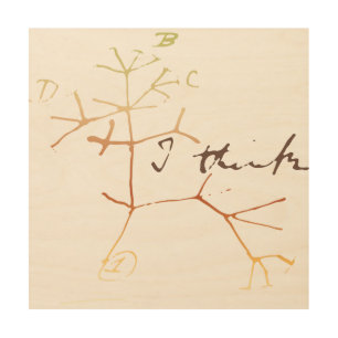 Darwin, I think tree of life Wood Wall Art
