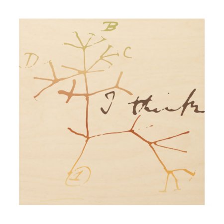 Darwin, I Think Tree Of Life Wood Wall Art