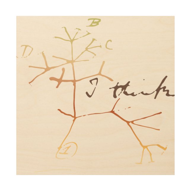 Darwin, I think tree of life Wood Wall Art (Front)