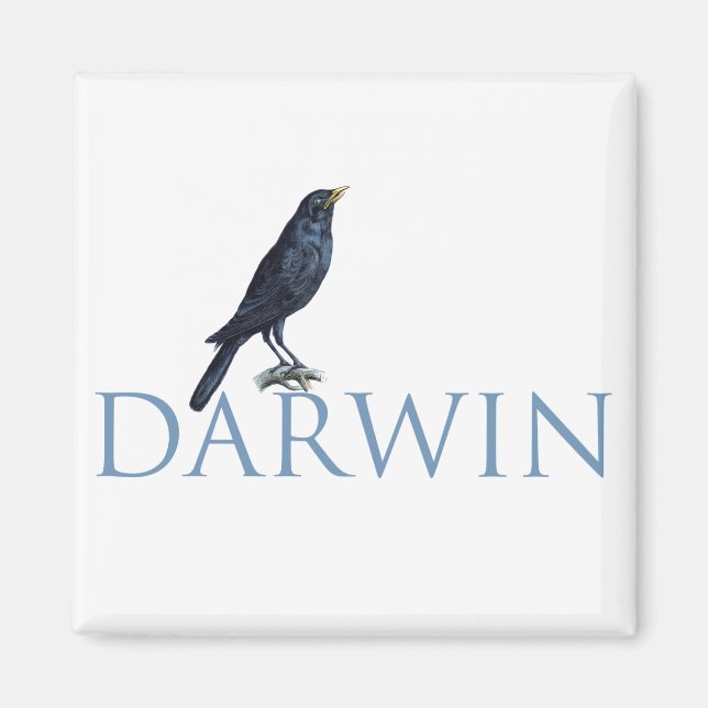 Darwin Magnet (Front)