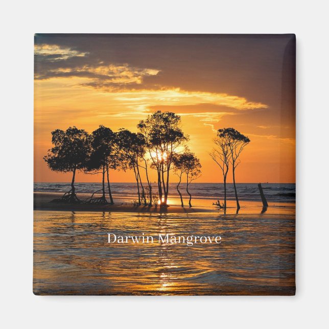 Darwin mangrove, Australia, Magnet (Front)