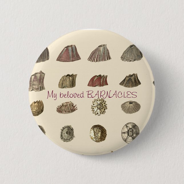 darwin-monograph-barnacles, My beloved BARNACLES Button (Front)