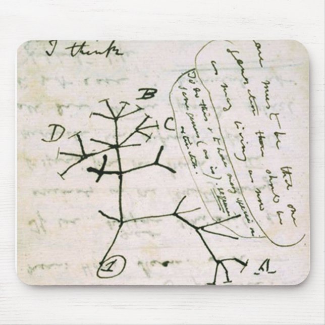 Darwin Mouse Pad (Front)