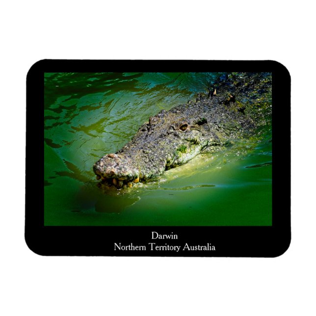 Darwin Northern Territory - Crocodile Magnet (Horizontal)