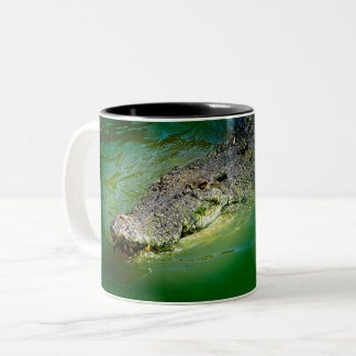 Darwin Northern Territory - Crocodile Mug