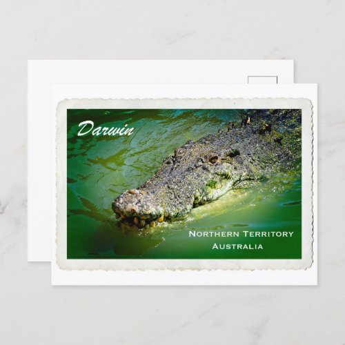 Darwin Northern Territory _ Crocodile Postcard