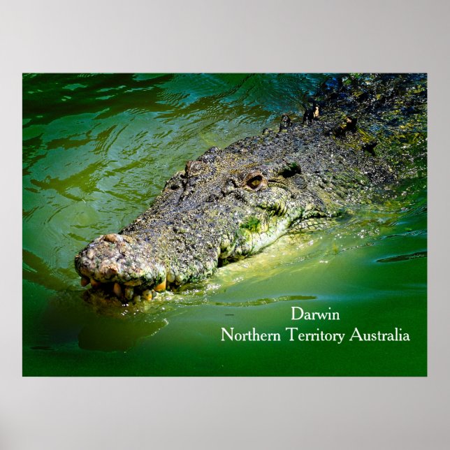 Darwin Northern Territory - Crocodile Poster (Front)
