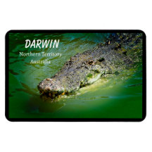 Darwin Northern Territory Saltwater Crocodile