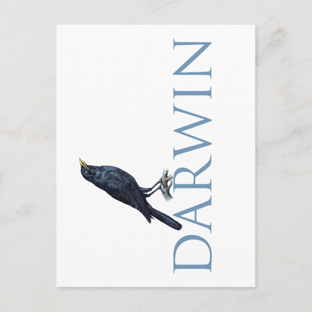 Darwin Postcard (Front)