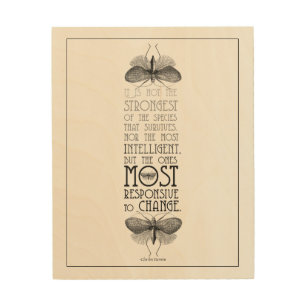 Darwin Survival Evolution Quote Wood Wall Art