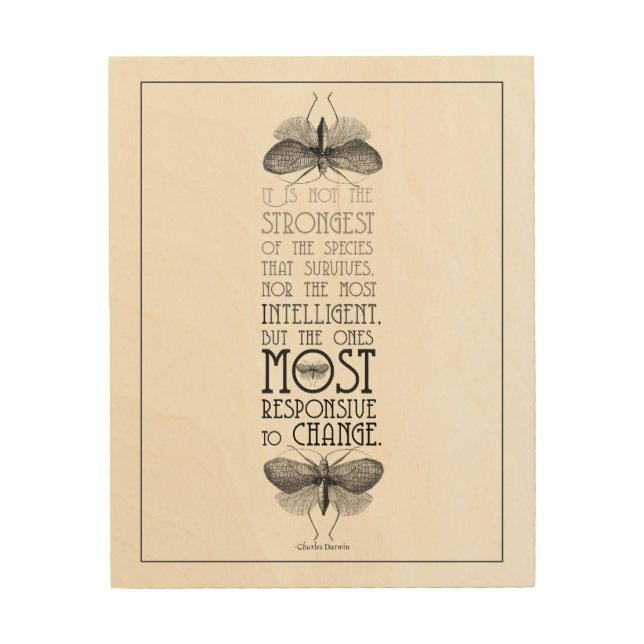 Darwin Survival Evolution Quote Wood Wall Art (Front)
