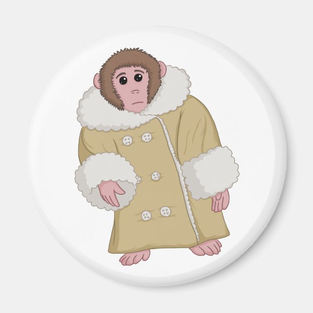 Darwin the Ikea Monkey Magnet (Front)