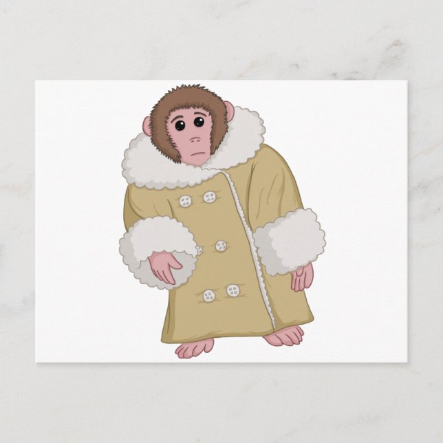 Darwin the Ikea Monkey Postcard (Front)