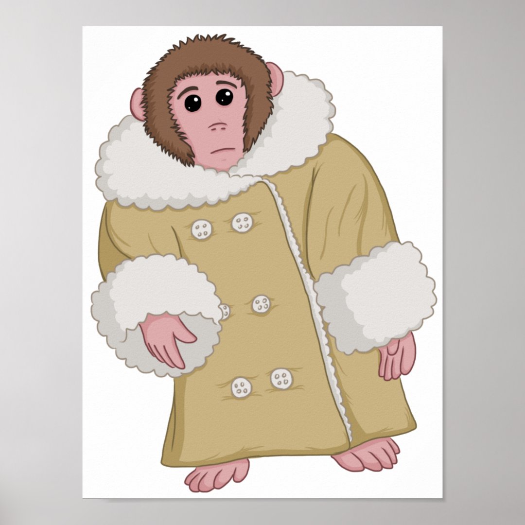 Darwin the Ikea Monkey Poster Zazzle