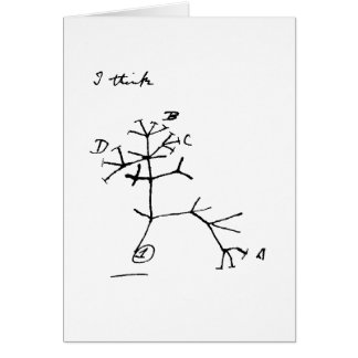 Darwin Tree Cards