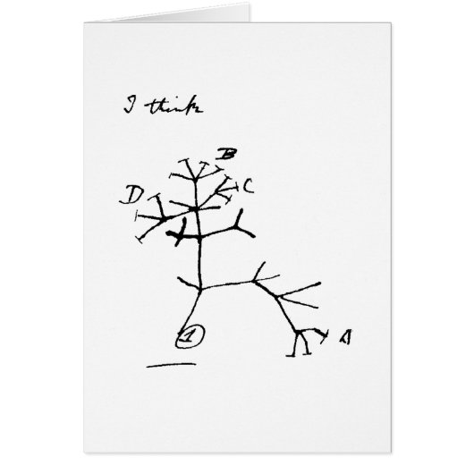 Darwin Tree Cards (Front)