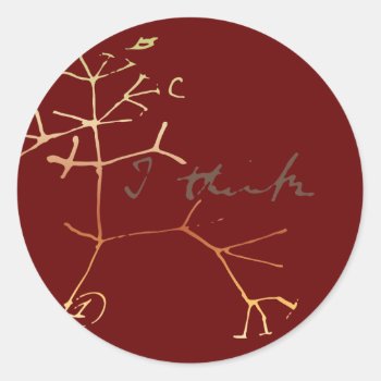 Darwin Tree Of Life: I Think Classic Round Sticker by boblet at Zazzle