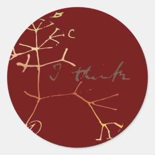 Darwin tree of life: I think Classic Round Sticker