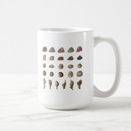 Darwins Barnacle mug white